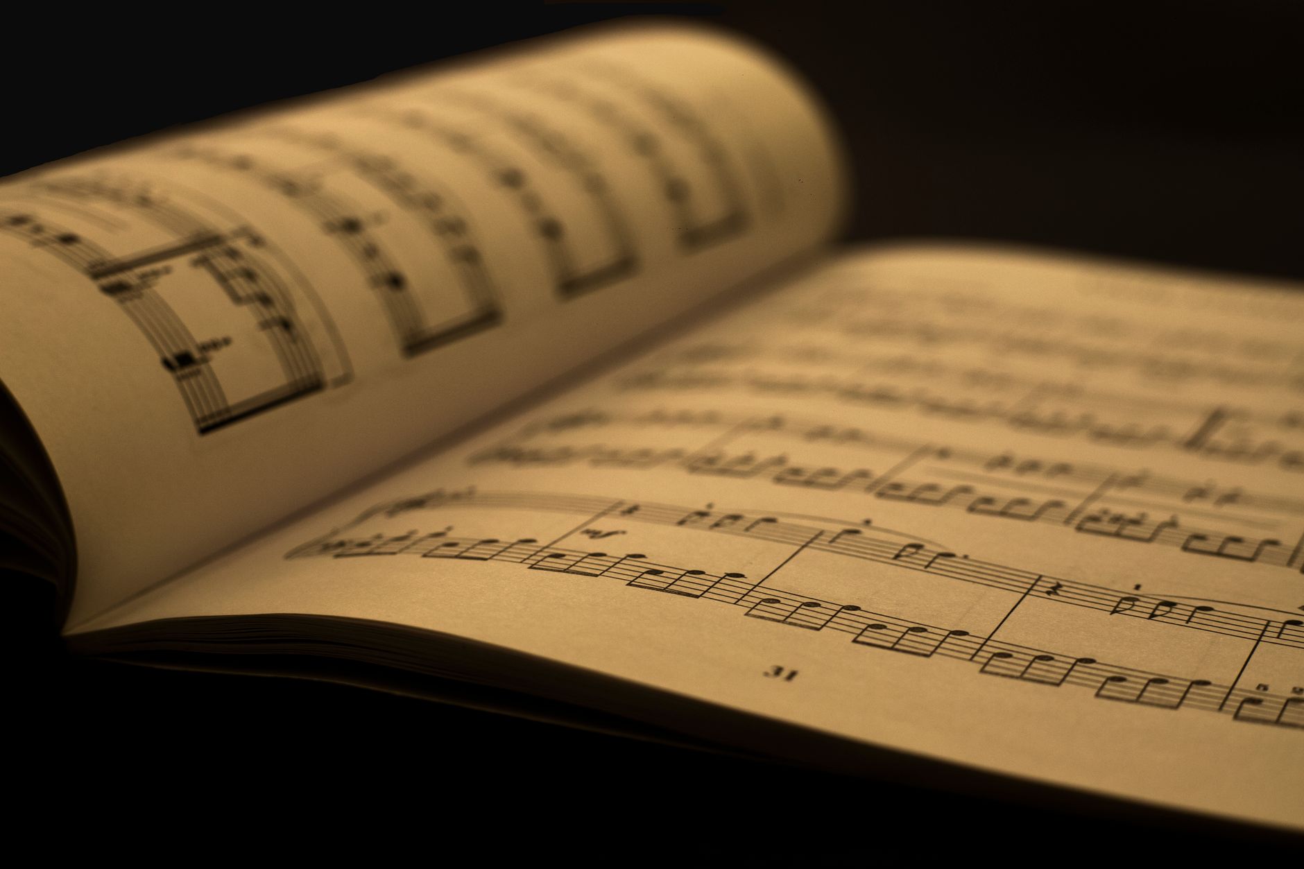 La Symphonie des mots : quelle harmonie littéraire !
