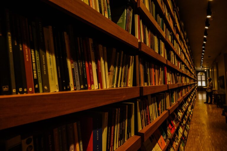 Quels sont les sentiers de lecture à emprunter pour enrichir votre culture littéraire ?