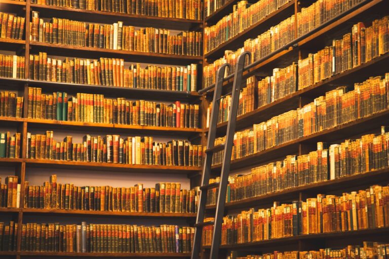 Qu&rsquo;est-ce que l&rsquo;infinie bibliothèque et pourquoi devrions-nous nous y intéresser ?