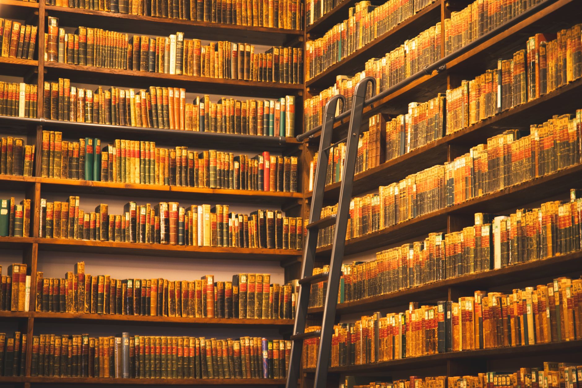 Qu&rsquo;est-ce que l&rsquo;infinie bibliothèque et pourquoi devrions-nous nous y intéresser ?