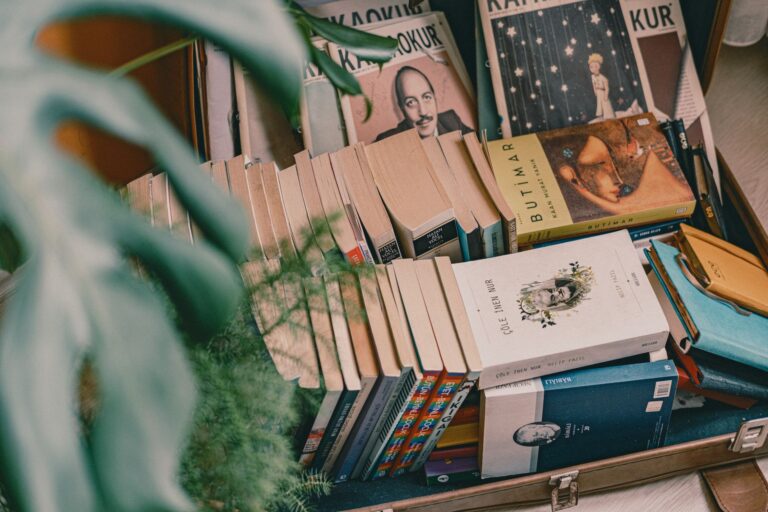 Quels livres emporter pour un voyage littéraire inoubliable ?