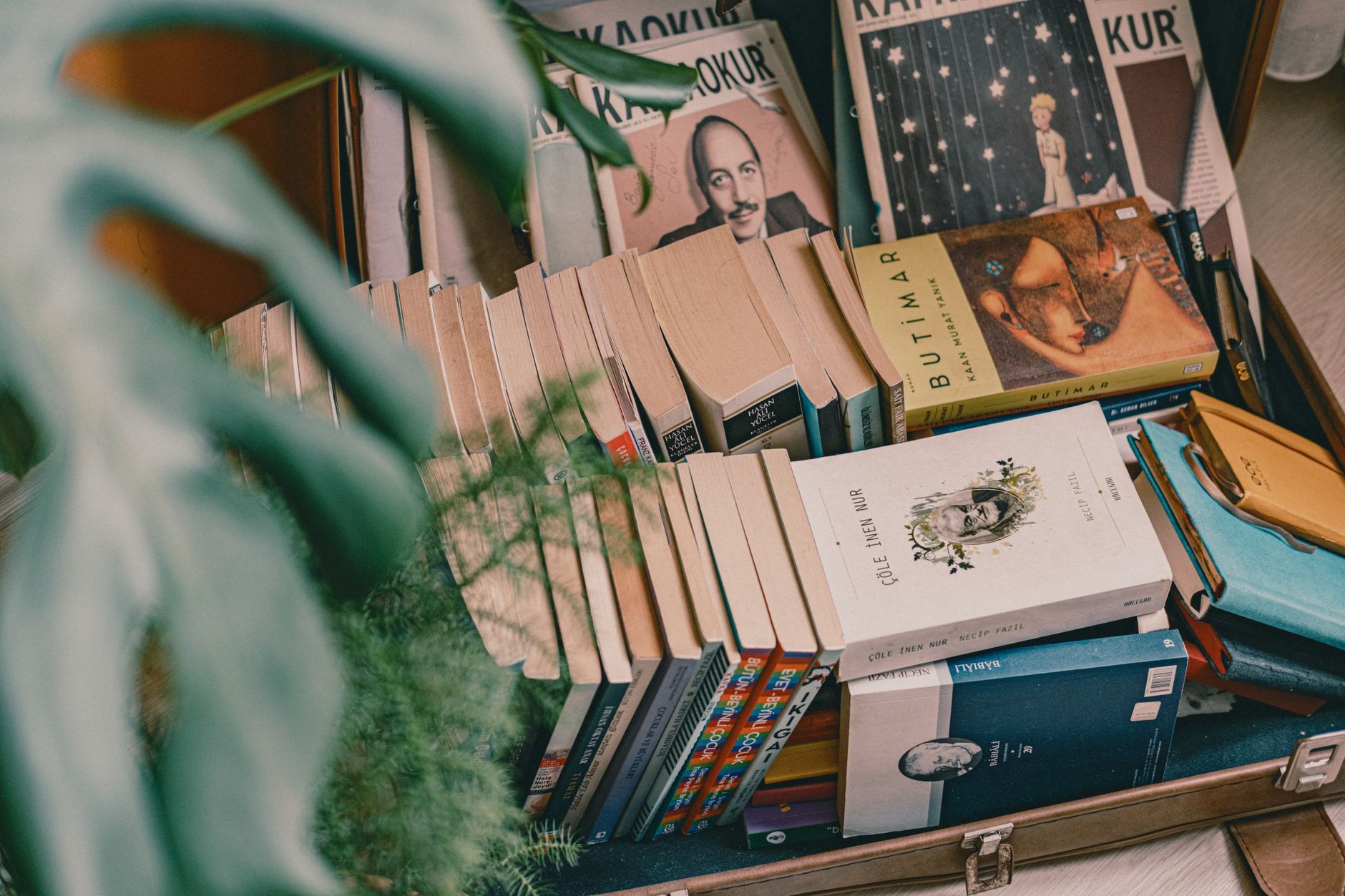 Quels livres emporter pour un voyage littéraire inoubliable ?